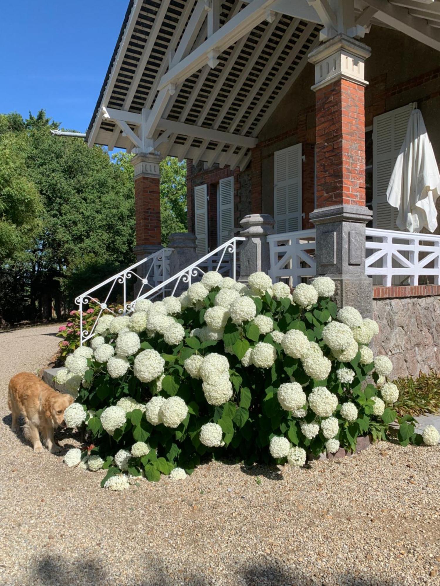 Le Manoir Des Rochers Alloggio in famiglia Bouere